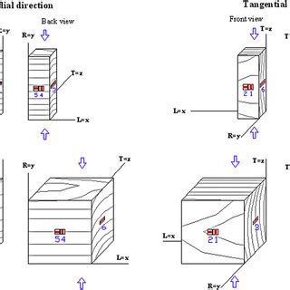 orthotropic wood compression test|Measuring elastic constants of wood through static bending using .